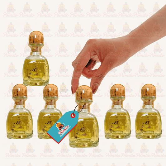 (6 Piezas) Mini Tequila Patrón Añejo 50 ml.