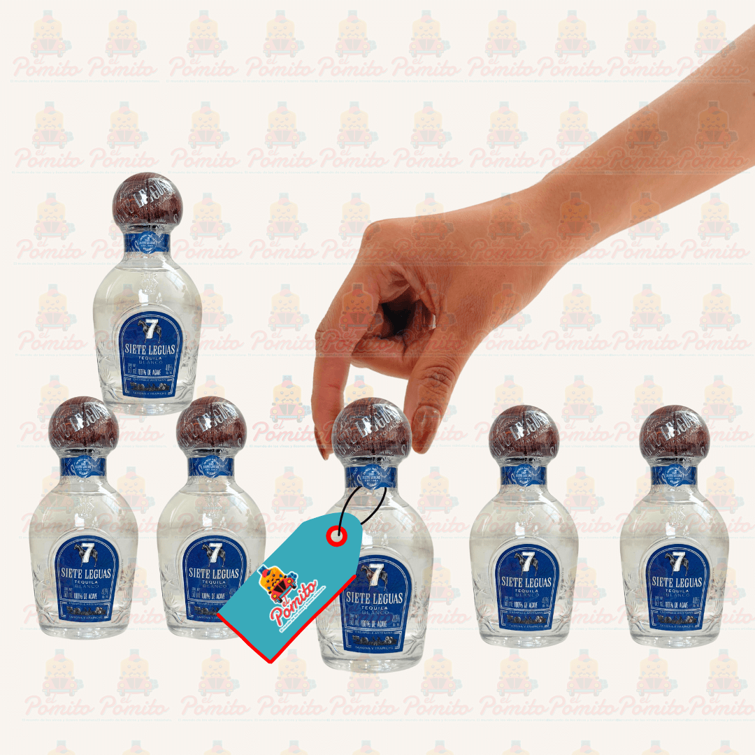 (6 Piezas) Mini Tequila Siete Leguas Blanco 50 ml.