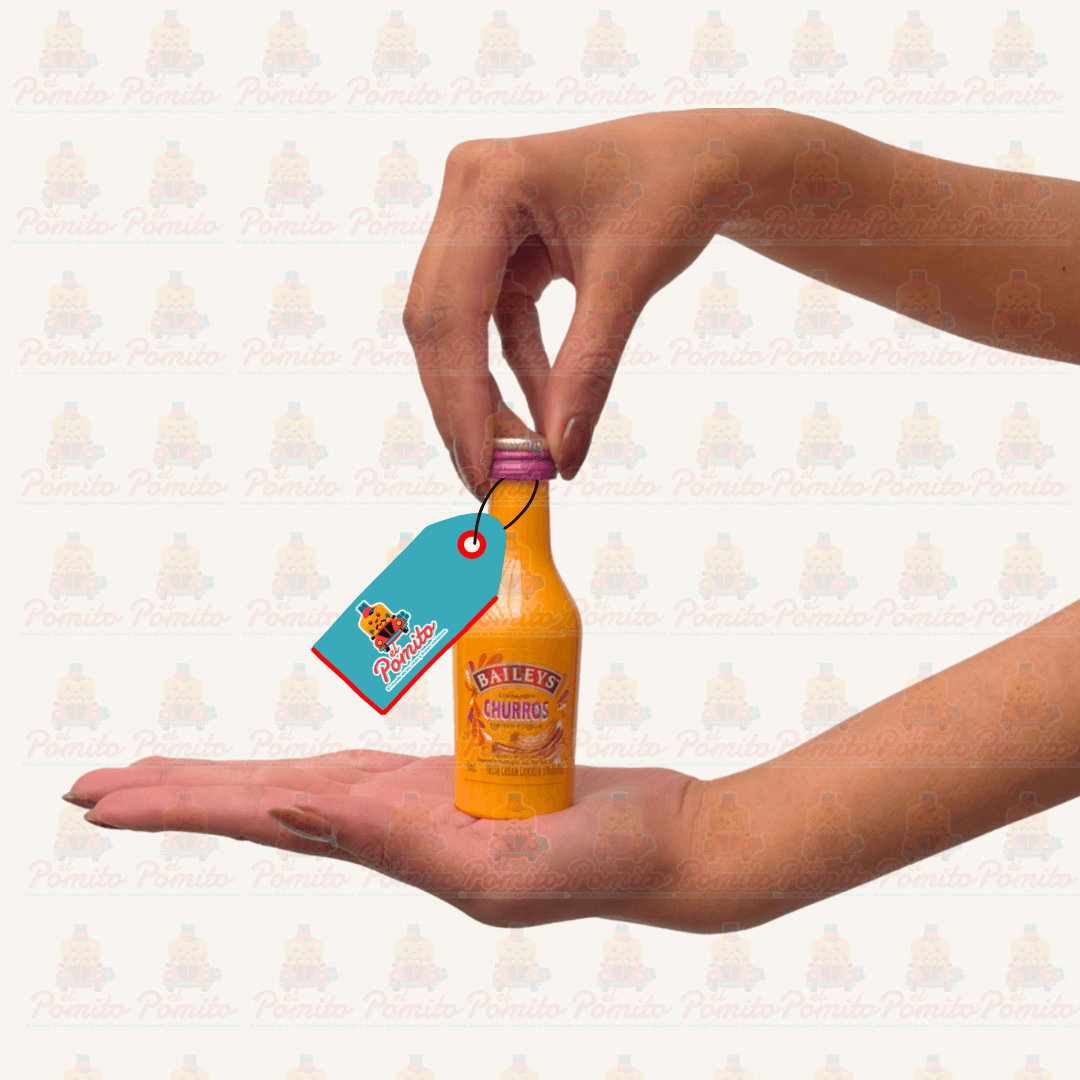 Mini Baileys Cinnamon Churros 50 ml.