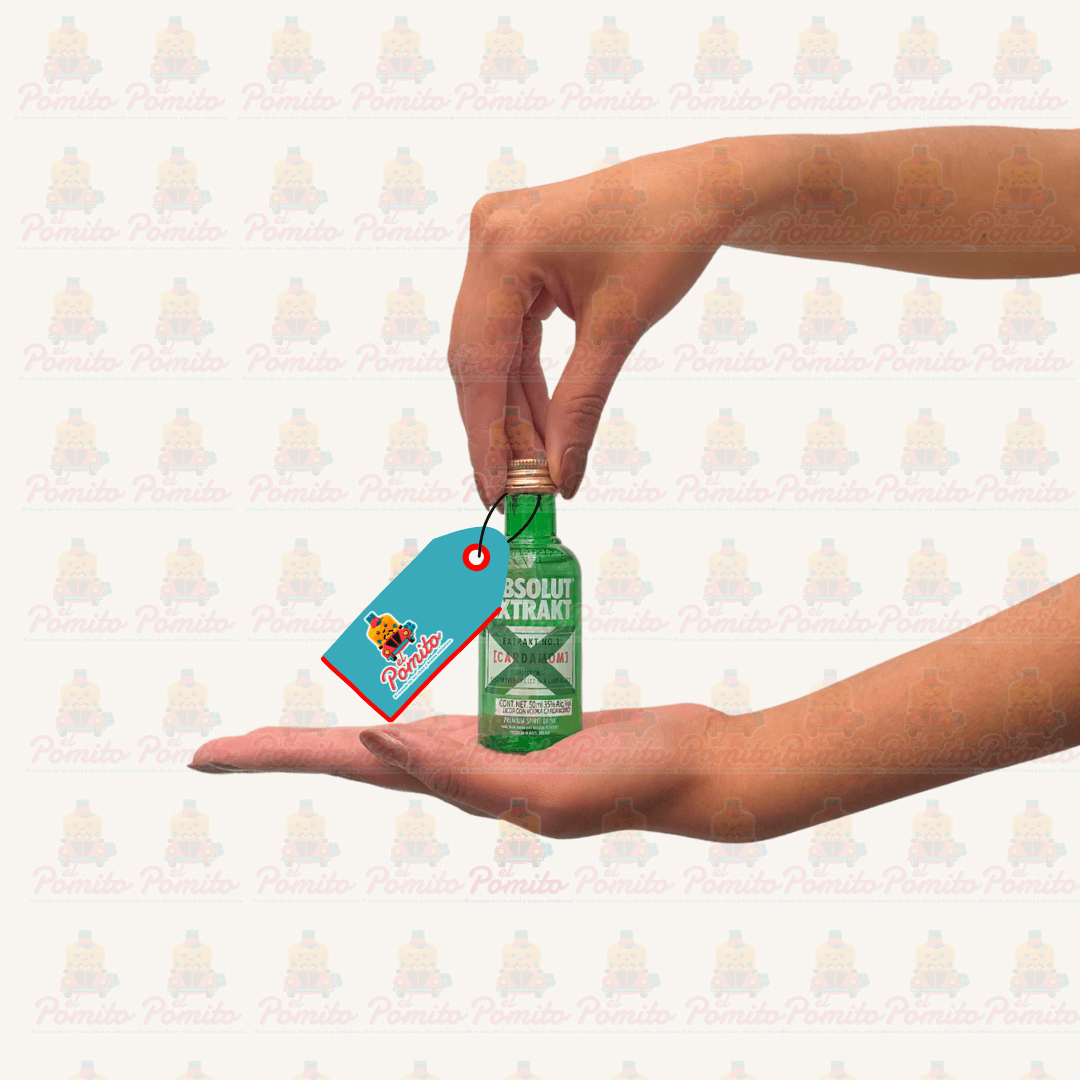 Mini Vodka Absolut Extract 50 ml.
