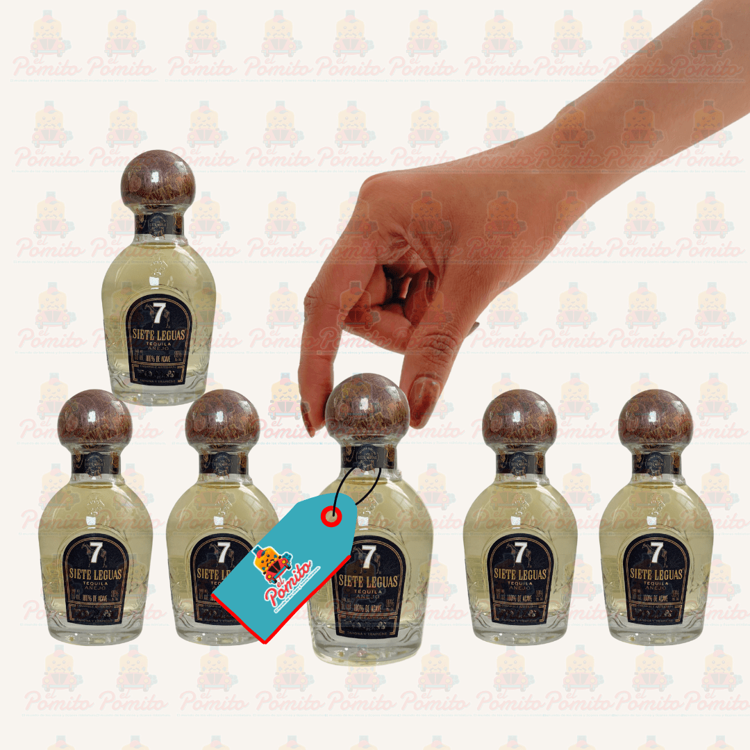 (6 Piezas) Mini Tequila Siete Leguas Añejo 50 ml.